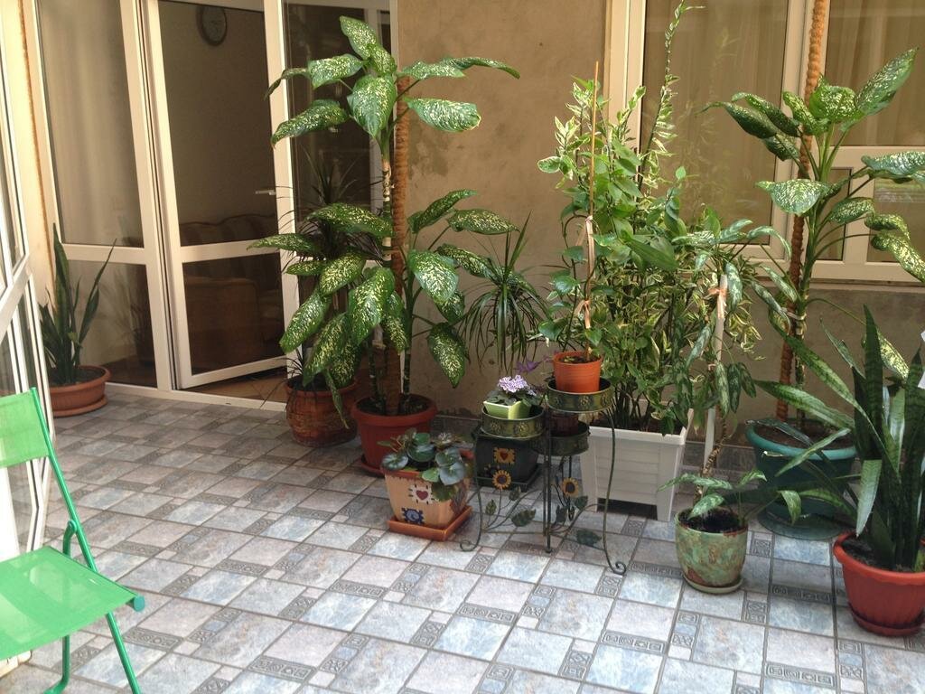 Гостиница Жемчужина Анапа-13